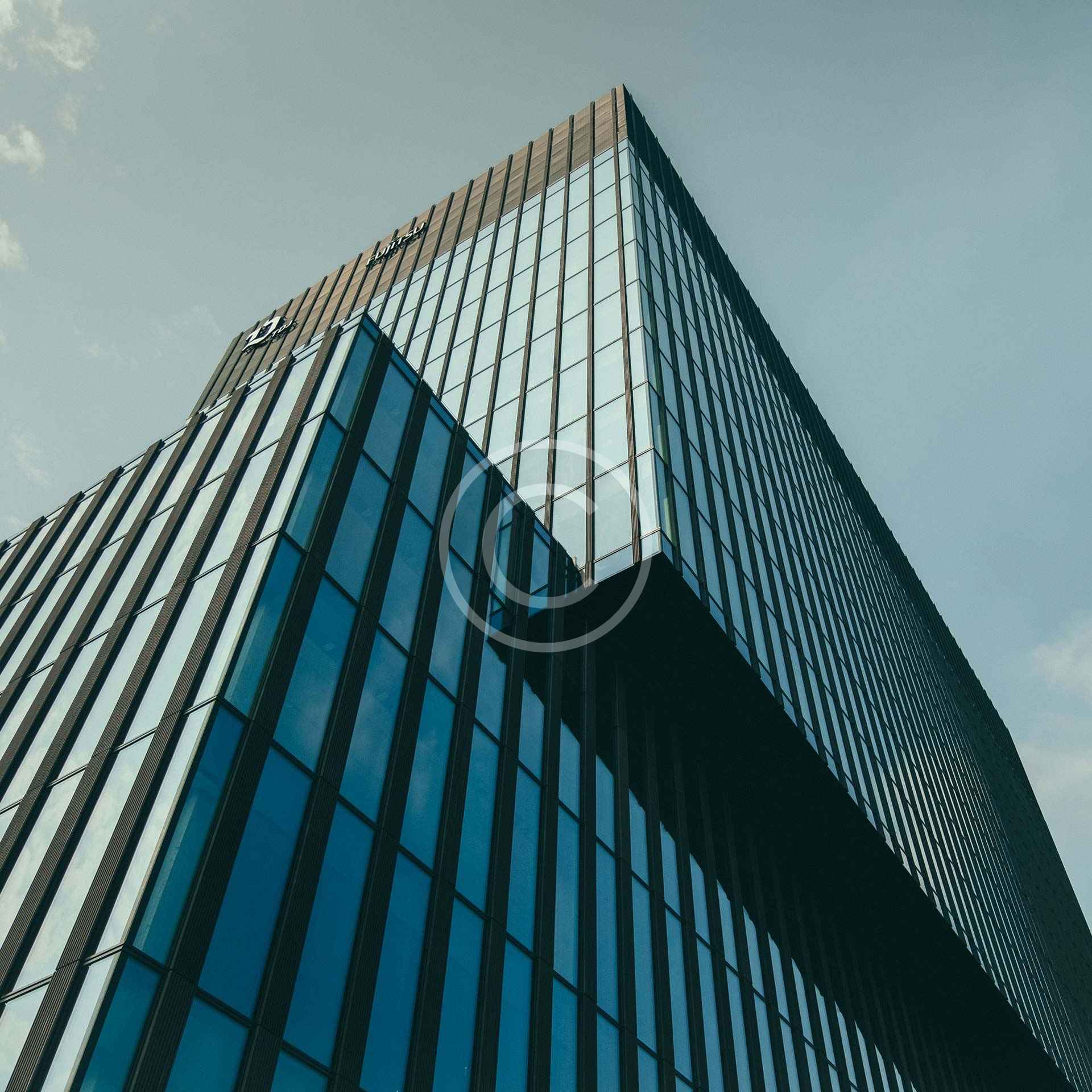 Case Study: Content Strategy for Business Growth